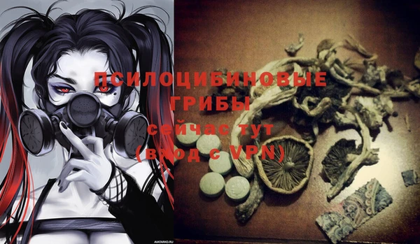 соль курить ск Ельня