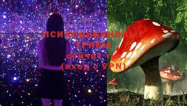 герыч Елизово