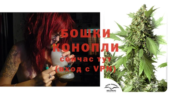 соль курить ск Ельня